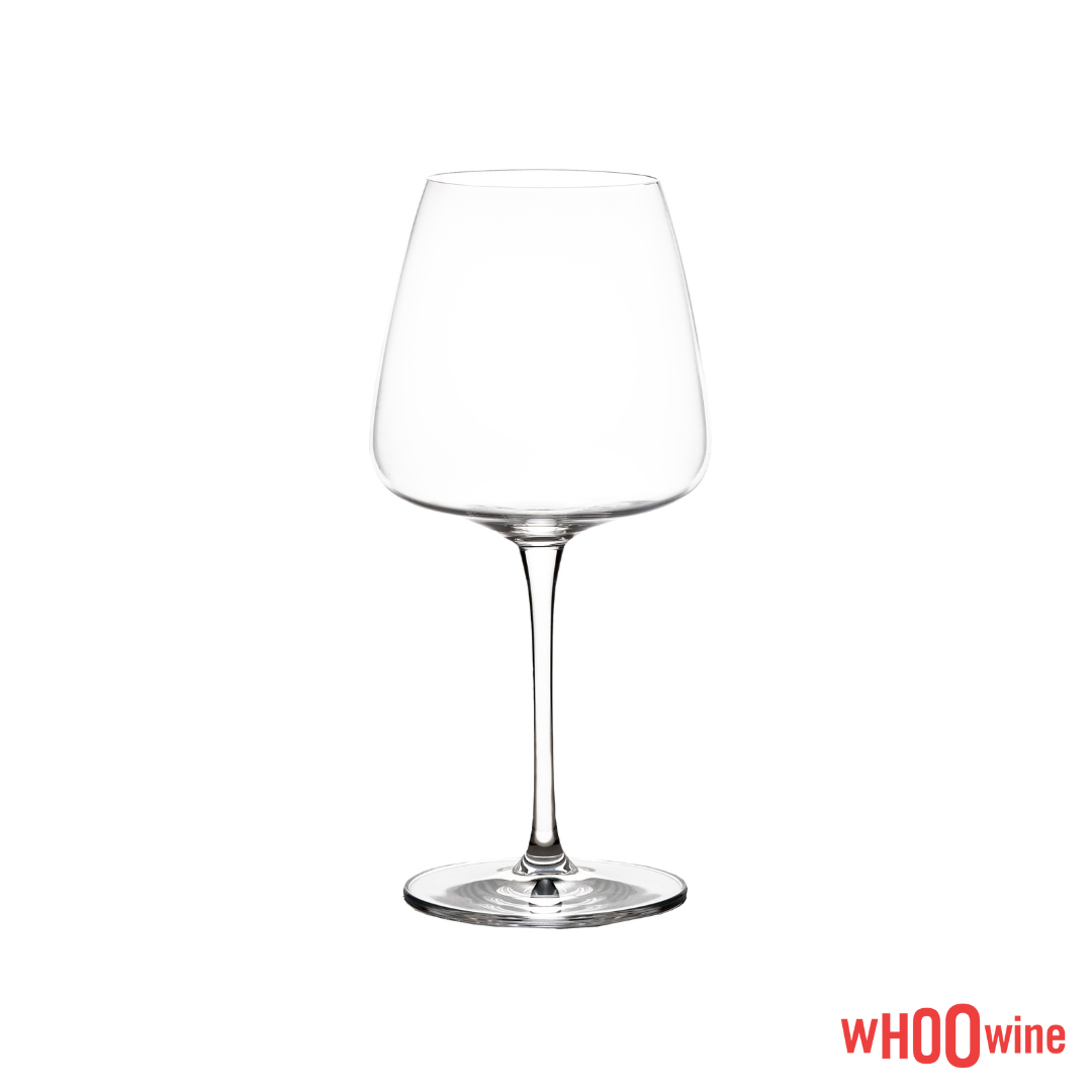 6 GLAZEN ITALESSE AUDACE NERO 60cc - wijnglas rode wijn