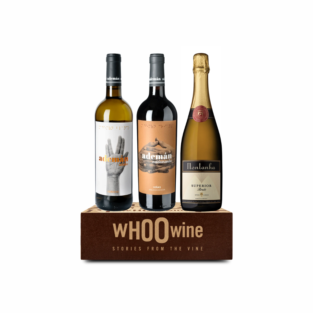 Steun Let Us Change - Feestelijk Trio: Aperitiefbubbels & Dinerduet